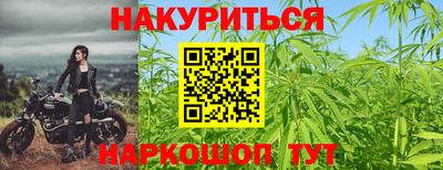 a pvp Новодвинск