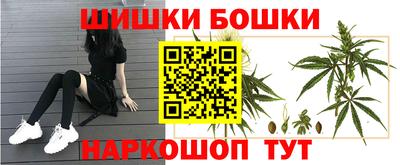 a pvp Новодвинск