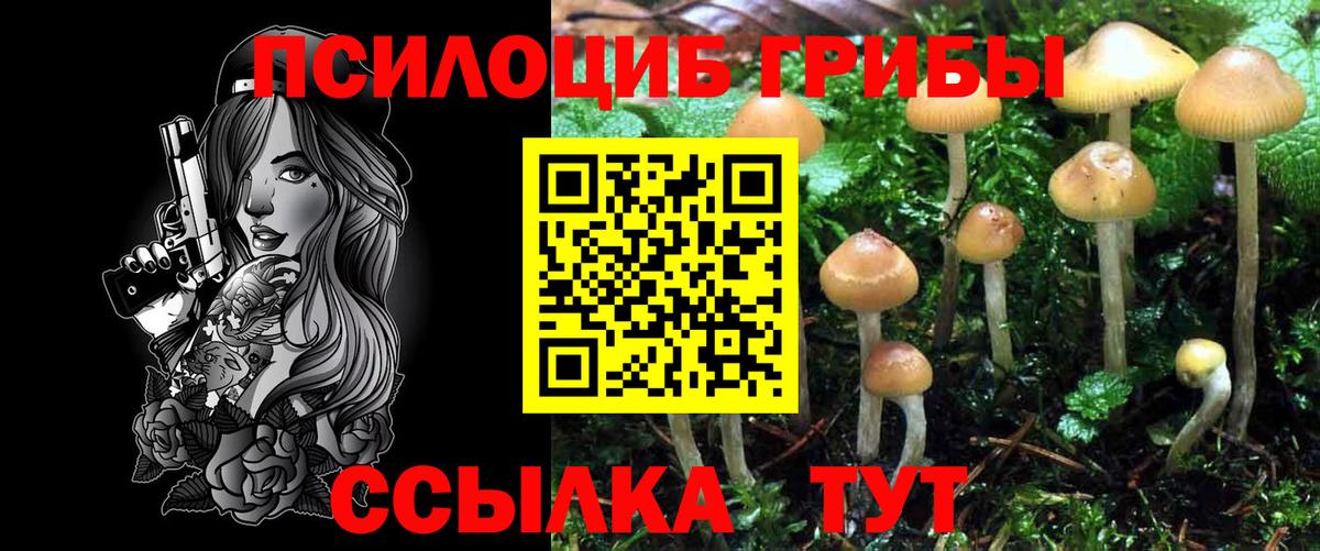 Сердобск  закладки  Вход с VPN  Галлюциногенные грибы Magic Shrooms 
